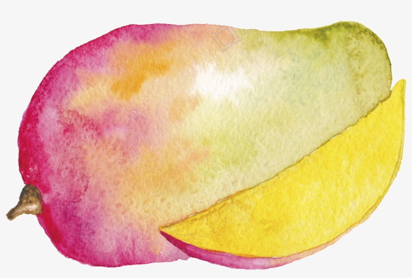 Hand Painted Watercolor Mango Cartoon Transparent Fruit - Fruits Watercolor Png, transparent png