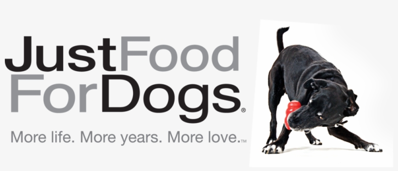 Dog - Dog Food, transparent png