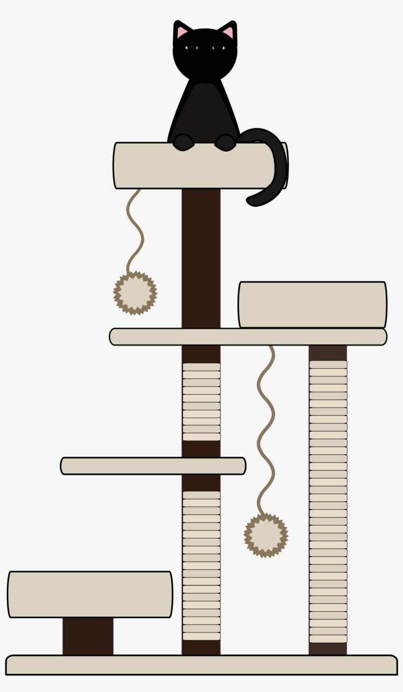 ↑back To Top - Domestic Short-haired Cat, transparent png