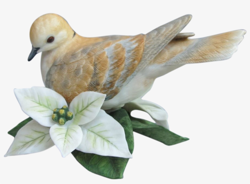 Drawn Turtle Dove Transparent Turtle Dove Png 909x909 PNG Download