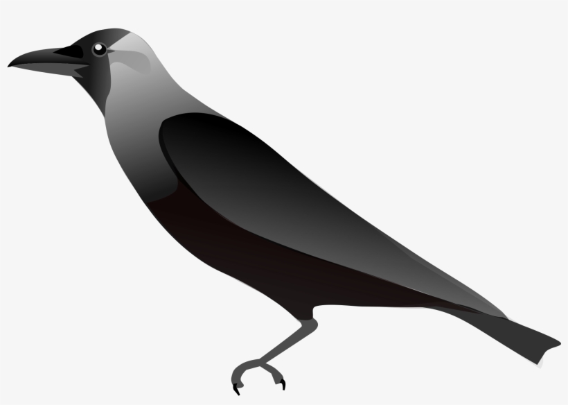 Jpg Royalty Free Library Collection Of Drawing High - Outline Pictures Of Crow, transparent png