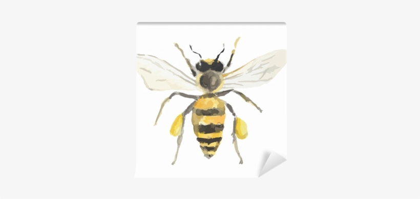 Isolated Watercolor Bee On White Background - Watercolor Painting, transparent png