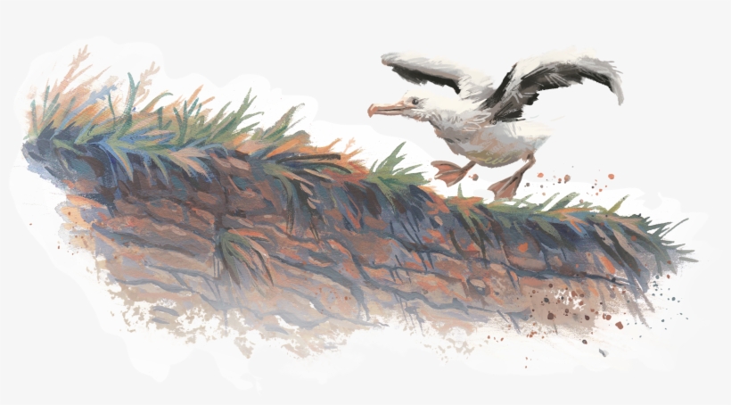 Pages 2 3 Questions - Running, transparent png