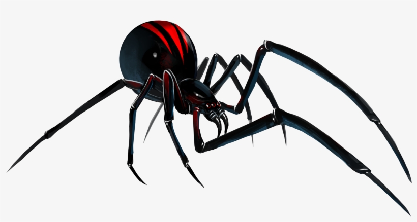 Black Widow Spider Png File - Black Widow F 16, transparent png