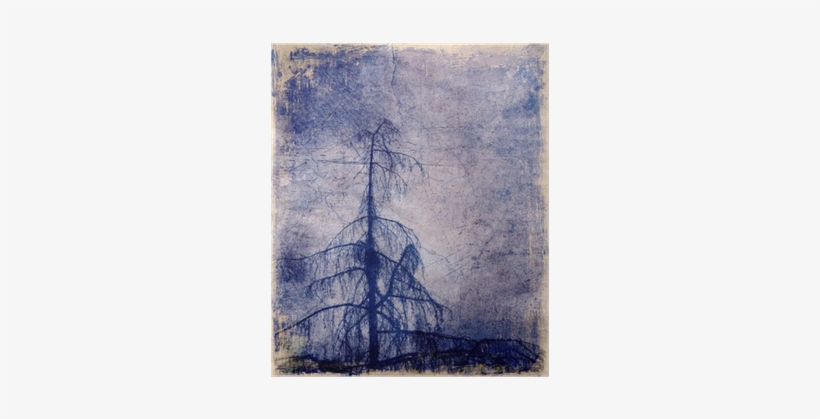 Tree, transparent png