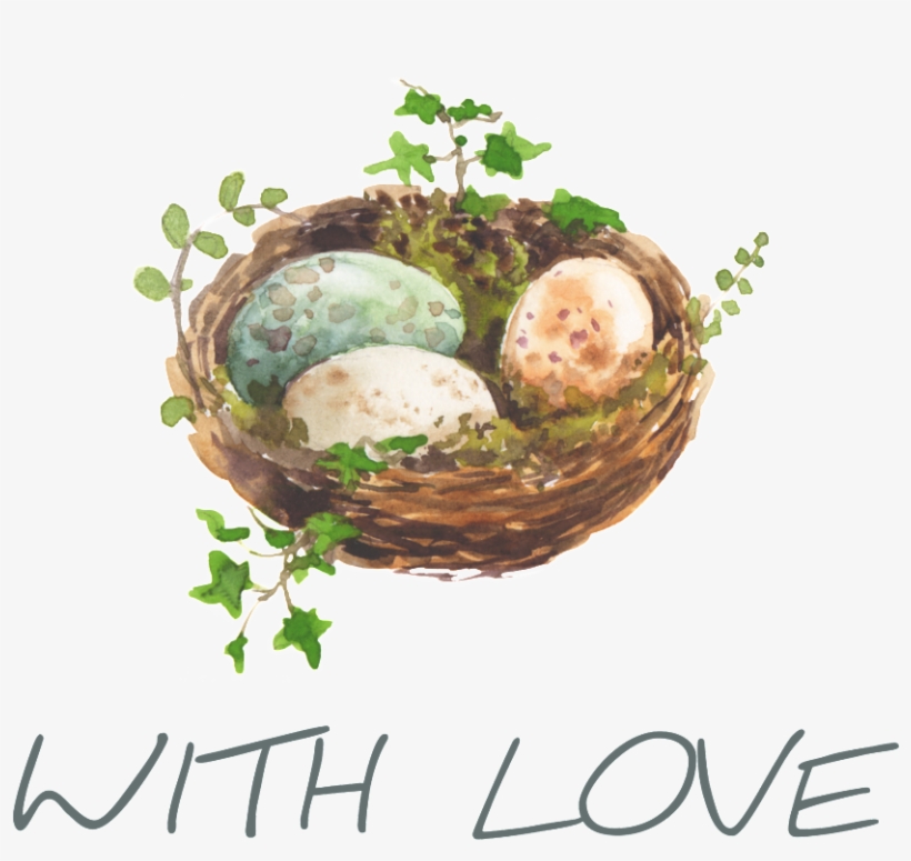 Hatching Egg Watercolor Hand Painted Transparent - Watercolor Painting, transparent png