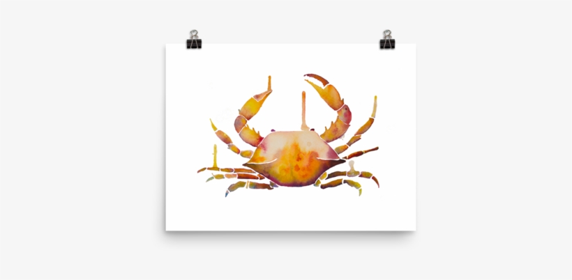 Crab, transparent png