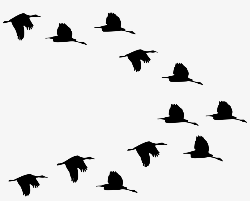 This Free Icons Png Design Of Flock Of Ducks Flying, transparent png