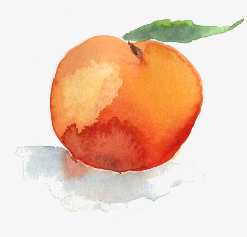 Resources- Five Element Face Reading And Today's Changing - Watercolor Paint, transparent png