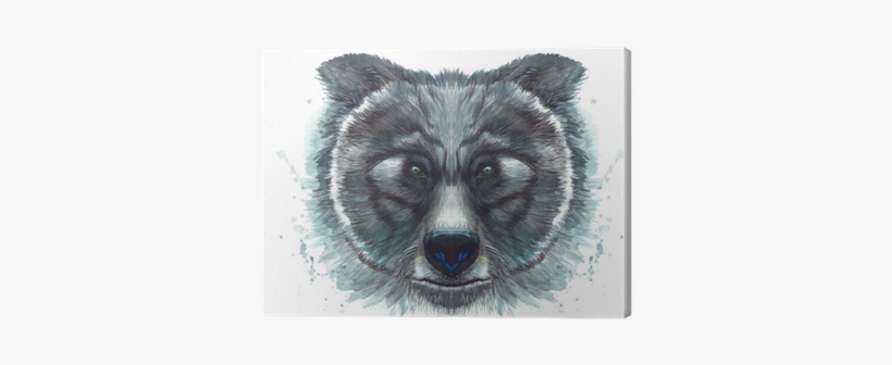 Painted Drawing With Watercolor Head Of A Bear Portrait - Desenho Pintado De Aquarela, transparent png