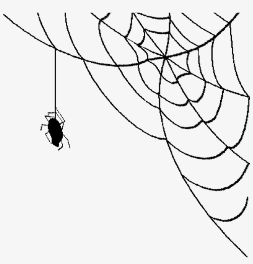 Realistic Spider Web Png Jpg Stock - Spider Web Transparent Background, transparent png