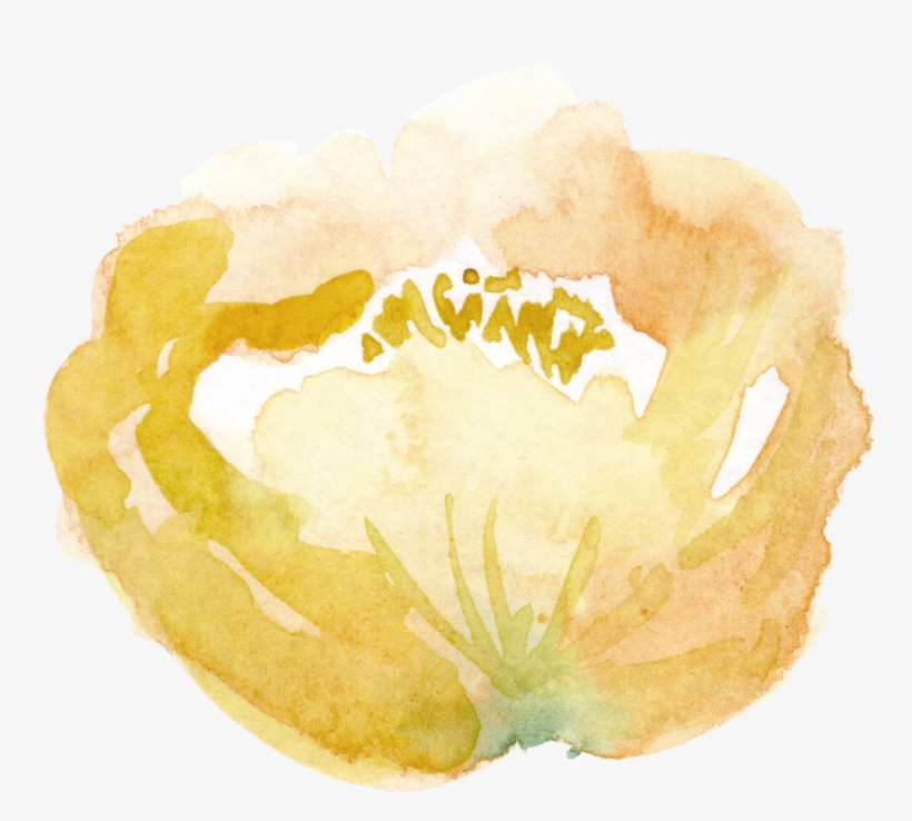 8 Yellow Flower, transparent png
