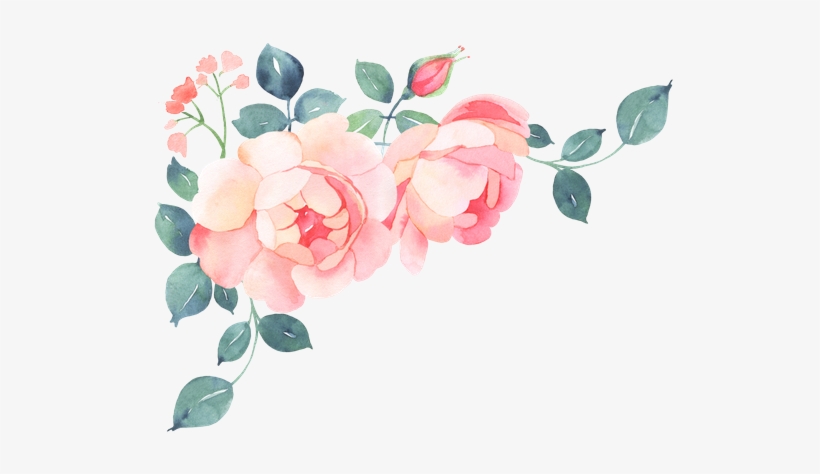 Bougainvillea Drawing Watercolor Graphic Stock - Romantic Roses Watercolor Bouquet, transparent png