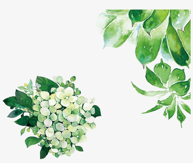 Hand Painted Watercolor Green Leaves Decorative - Green, transparent png