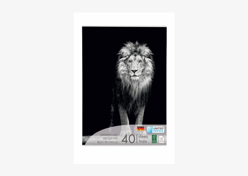 Drawing And Sketch Pad, Lion - Lion Black Background, transparent png