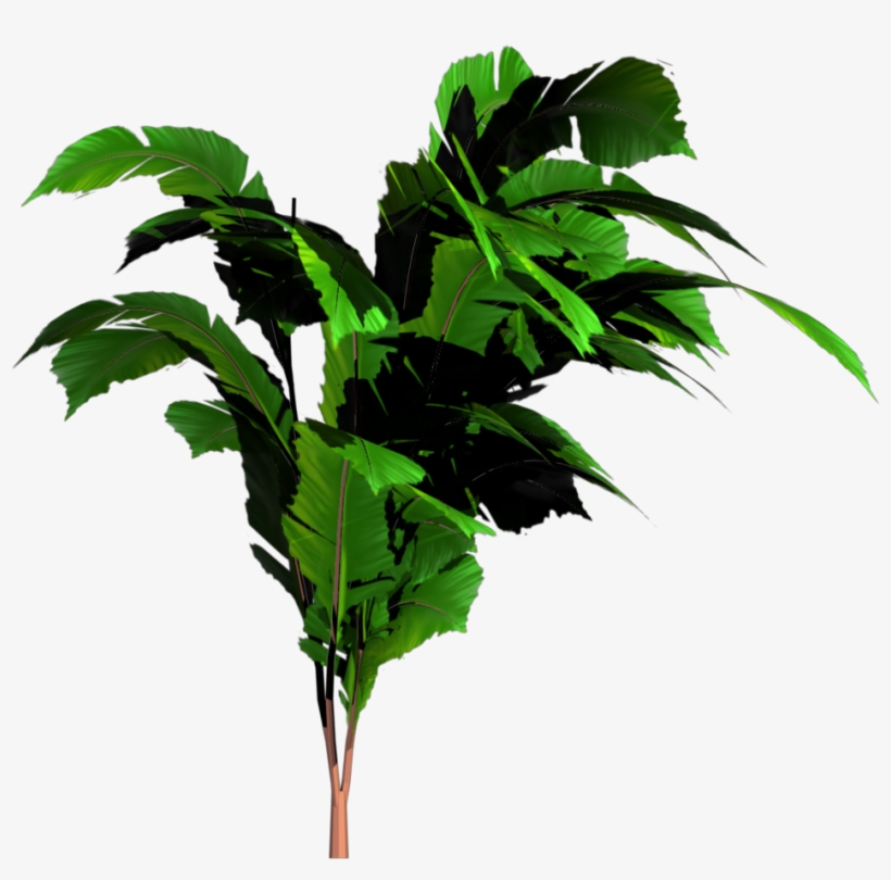 Jungle Tree Png Transparent Image - Jungle Png, transparent png