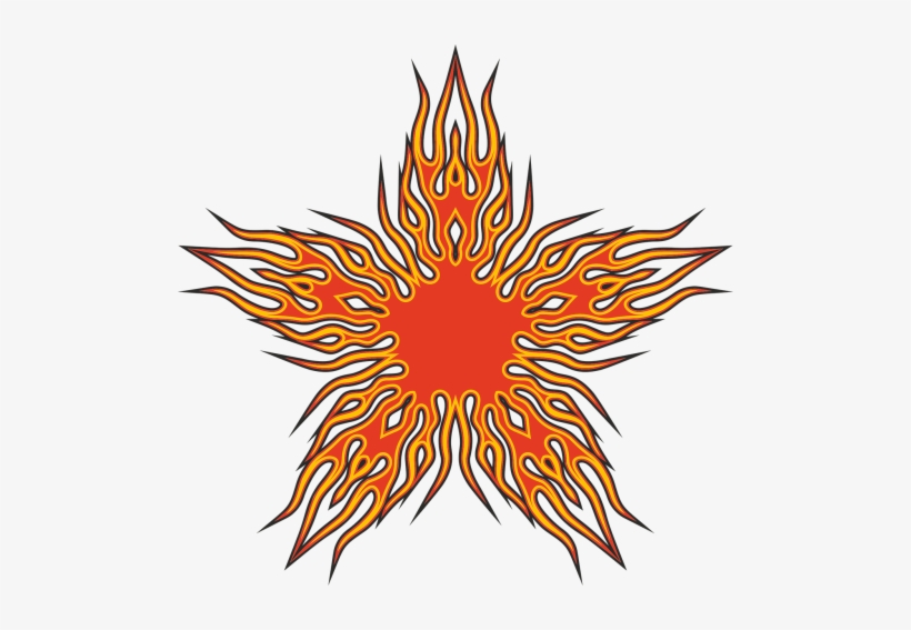 Vector - Circle, transparent png