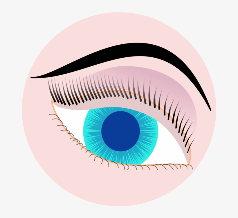 Human Eye Visual Perception Drawing Optics - Optics Eye Clipart, transparent png