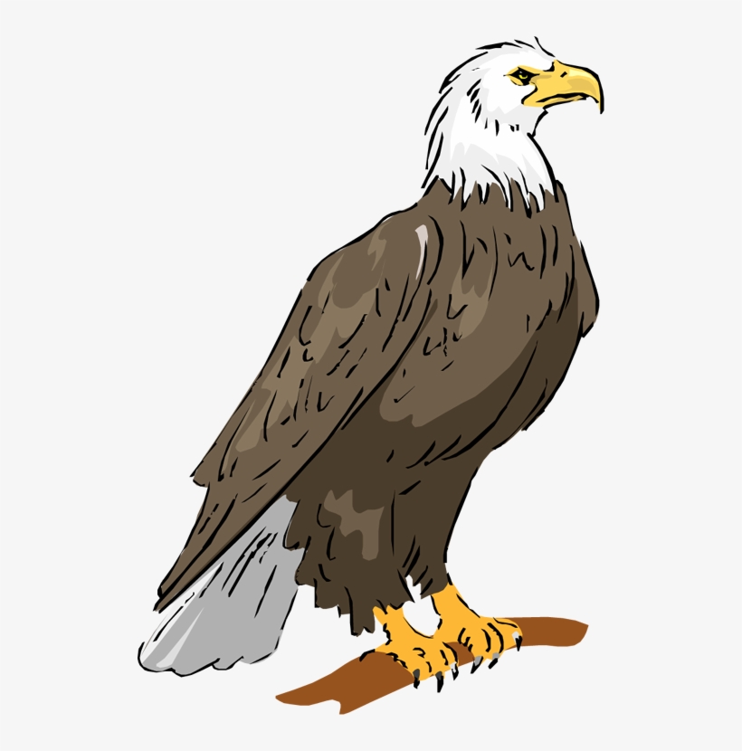 Costume Clipart Duck - Eagle Clipart, transparent png