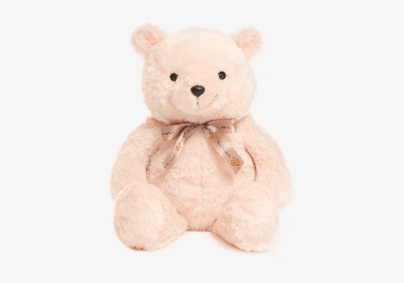 A Caring Companion - Teddy Bear, transparent png