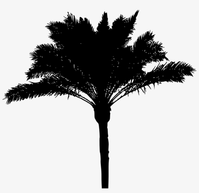 Palm Tree Png Download - Palm Tree Silhouette Png, transparent png
