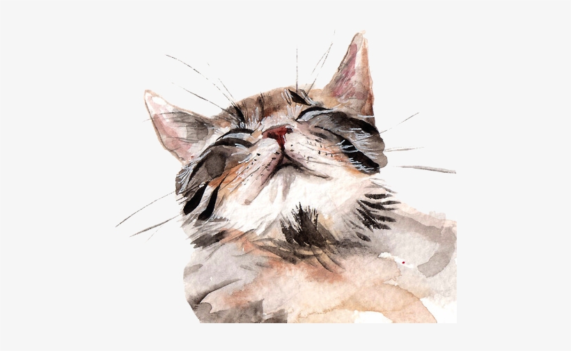 24 Images About Gatos On We Heart It - Watercolours Of Cats, transparent png
