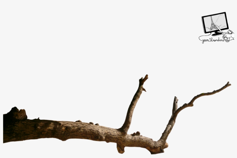 Dead Branch Png - Beau Vallon, Seychelles, transparent png
