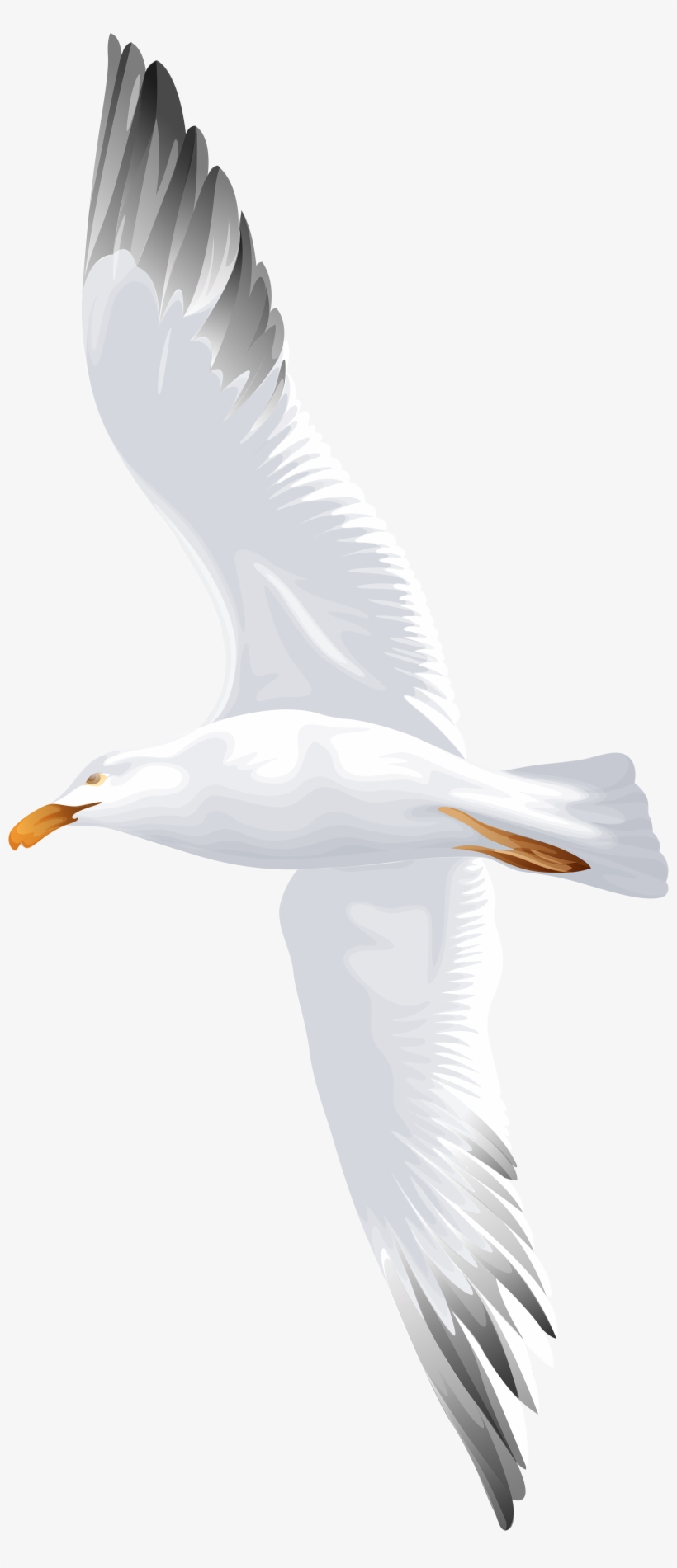 Clip Art, transparent png