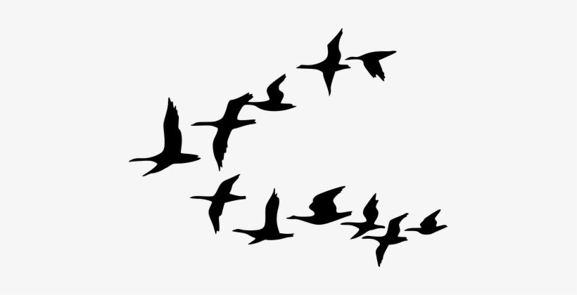 Silhouette Birds Black Flying Geese Waterf - Flock Of Birds Clipart
