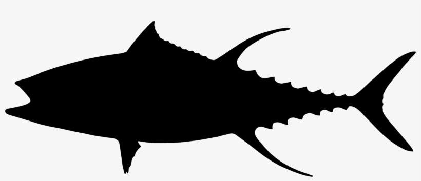 Atlantic Bluefin Tuna Yellowfin Tuna Bigeye Tuna Fish - Tuna Silhouette, transparent png