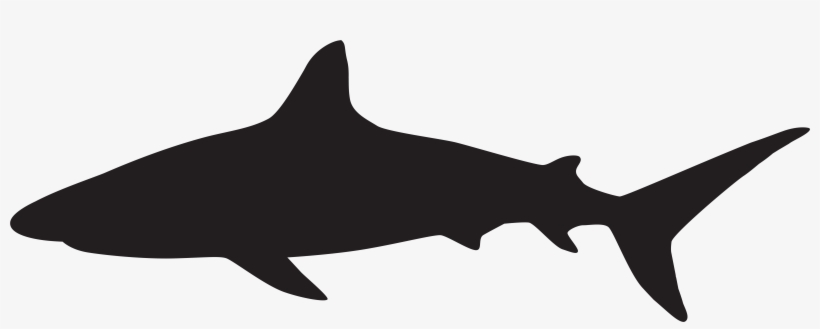 Shark Silhouette Png Clip Art Image - Shark Silhouette Png, transparent png
