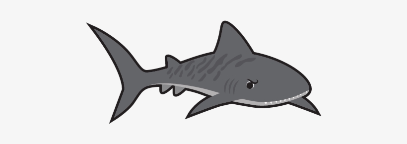 Norwood Swim School - Shark, transparent png