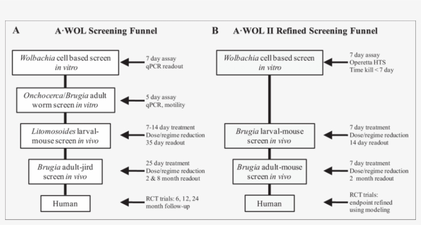 Original Funnel Developed By A•wol - Hts Funnel Screening, transparent png