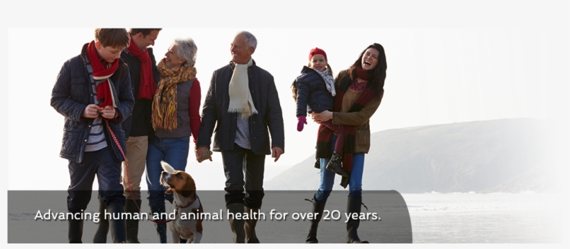 Slide-beach - Anders Älter Werden, transparent png