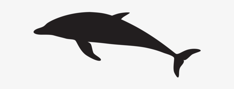0, - Dolphin Silhouette Png, transparent png