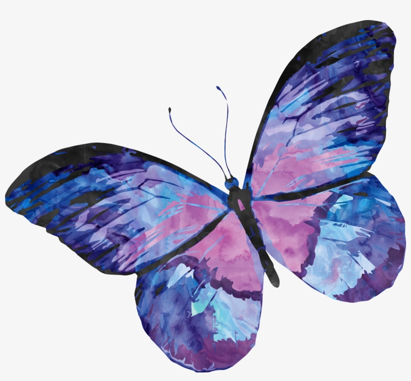 Dog Butterfly Painting, transparent png