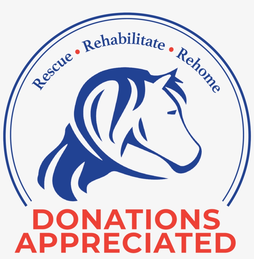 Circular Horse Logo For New England-based Equine Rescue - Ifc Jonfosse, transparent png
