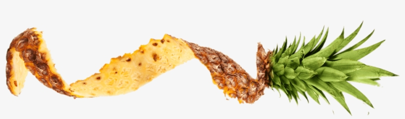 Cáscara De Piña - Pineapple Peel Png, transparent png