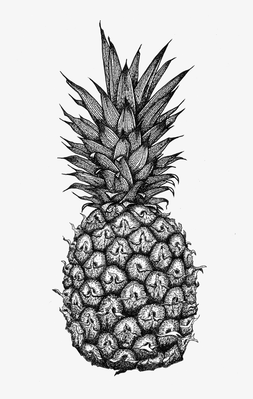 Pineapple Drawing Pattern Mandala Pineapple 740x1240 PNG Download PNGkit