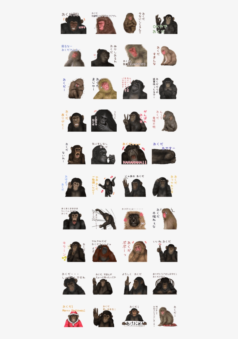 Okuda Monkey's Real Name Sticker - Gorilla, transparent png