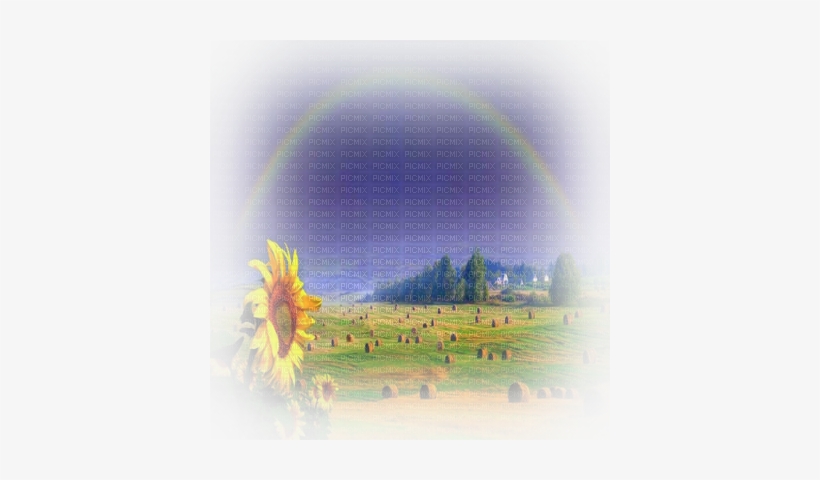 Tournesol Paysage Sunflower Landscape Tubes Paysage D Ete Png 400x400 Png Download Pngkit