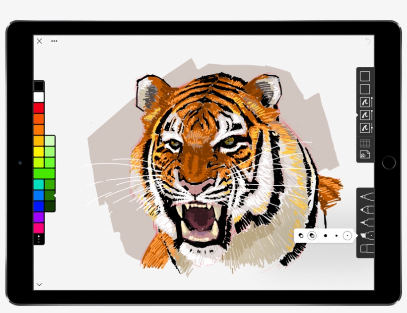 An Elegant Sketching App For The Ipad From The Iconfactory - Siberian Tiger, transparent png