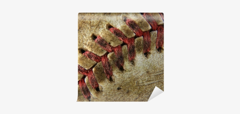 Stone Wall, transparent png