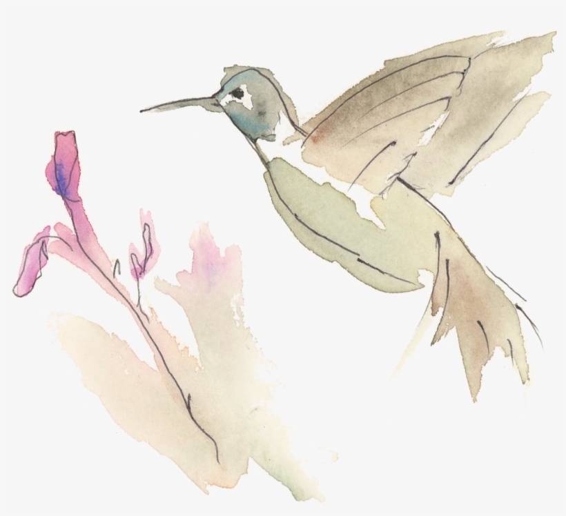 Hummingbird Watercolor - Stork, transparent png