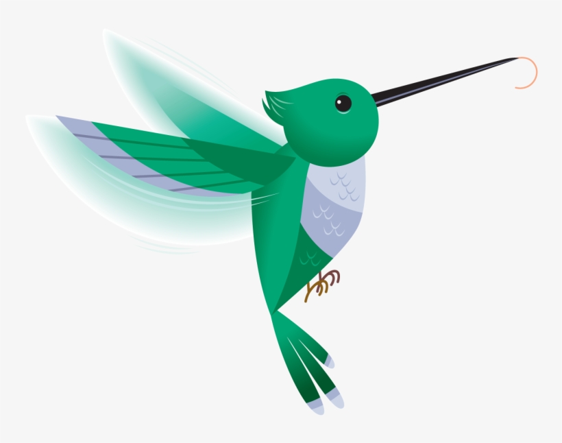 Hummingbird Clipart Line Art - Hummingbird Clip Art Vector, transparent png