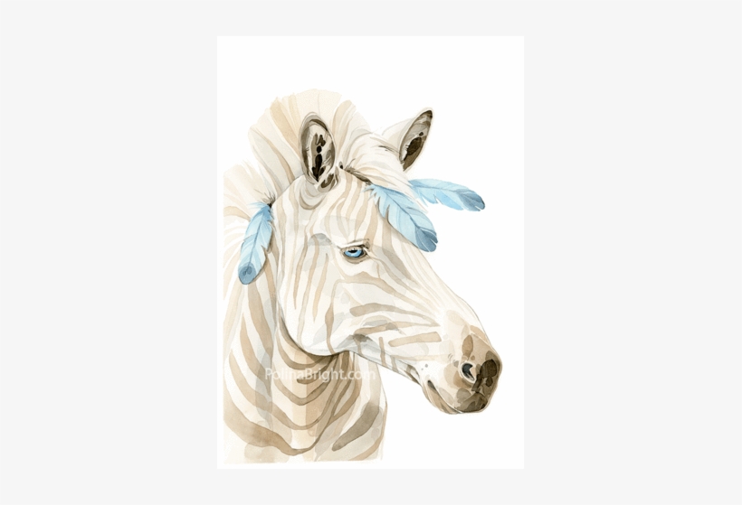 Burro, transparent png