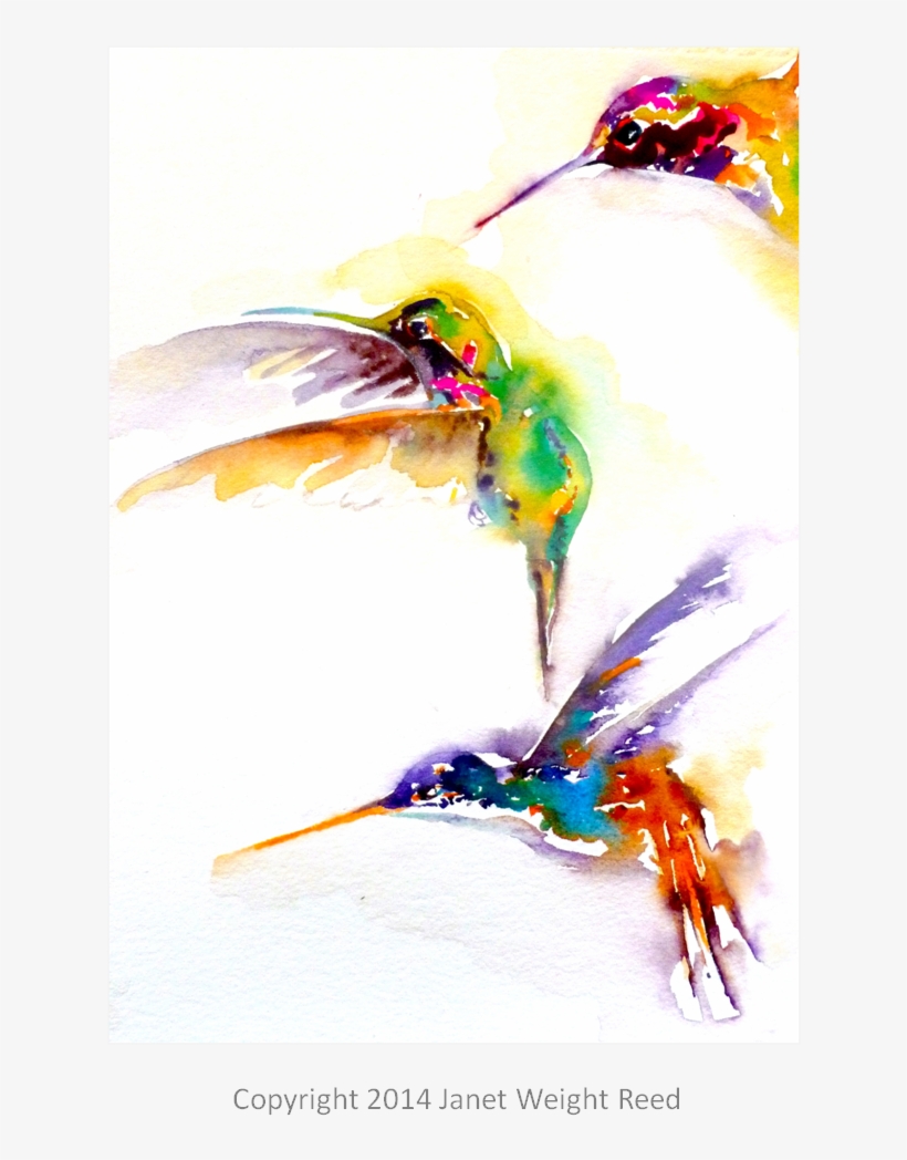 "three On A Mission" Hummingbird Print By Janet Weight - Hummingbird, transparent png
