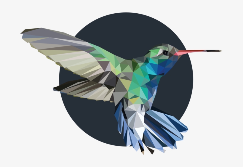 Hummingbird, transparent png