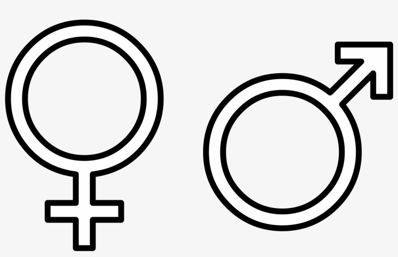 Male Vector Gender - Male Female Symbol White, transparent png