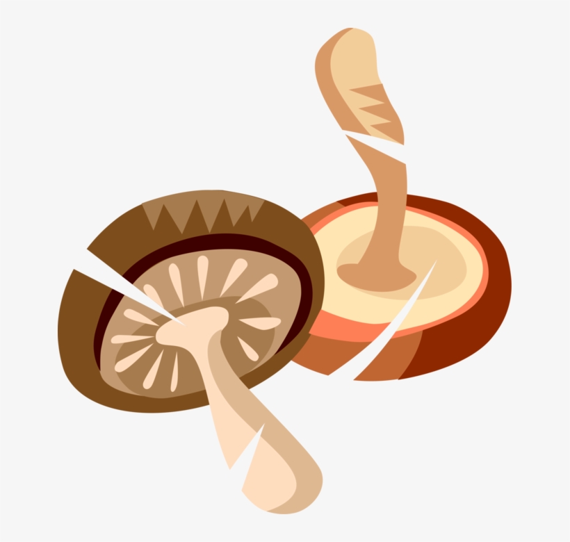 Vector Illustration Of Edible Mushroom Or Toadstool - Illustration, transparent png